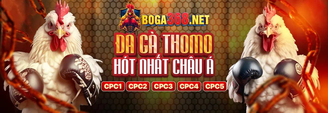 Đá Gà Trực Tuyến cbvip777
